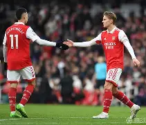 ju11.co-阿尔艾因球迷疯狂庆祝，期待下一轮表现的简单介绍