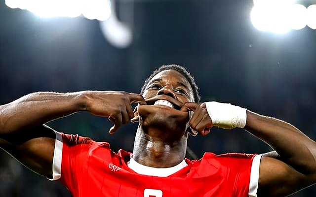 九州娱乐-瑞典国家队赢得胜利,瑞典球员展现出色表现了什么