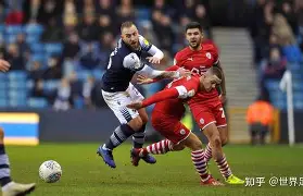 瑞典队在比赛中展现出色的团队合作(瑞典队队员)